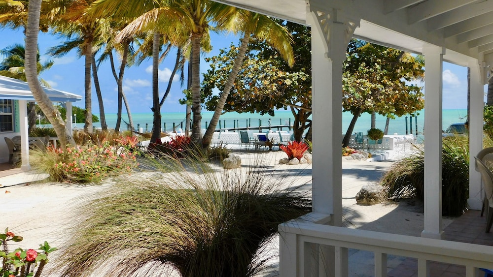 Pines Palms Resort 16/73
