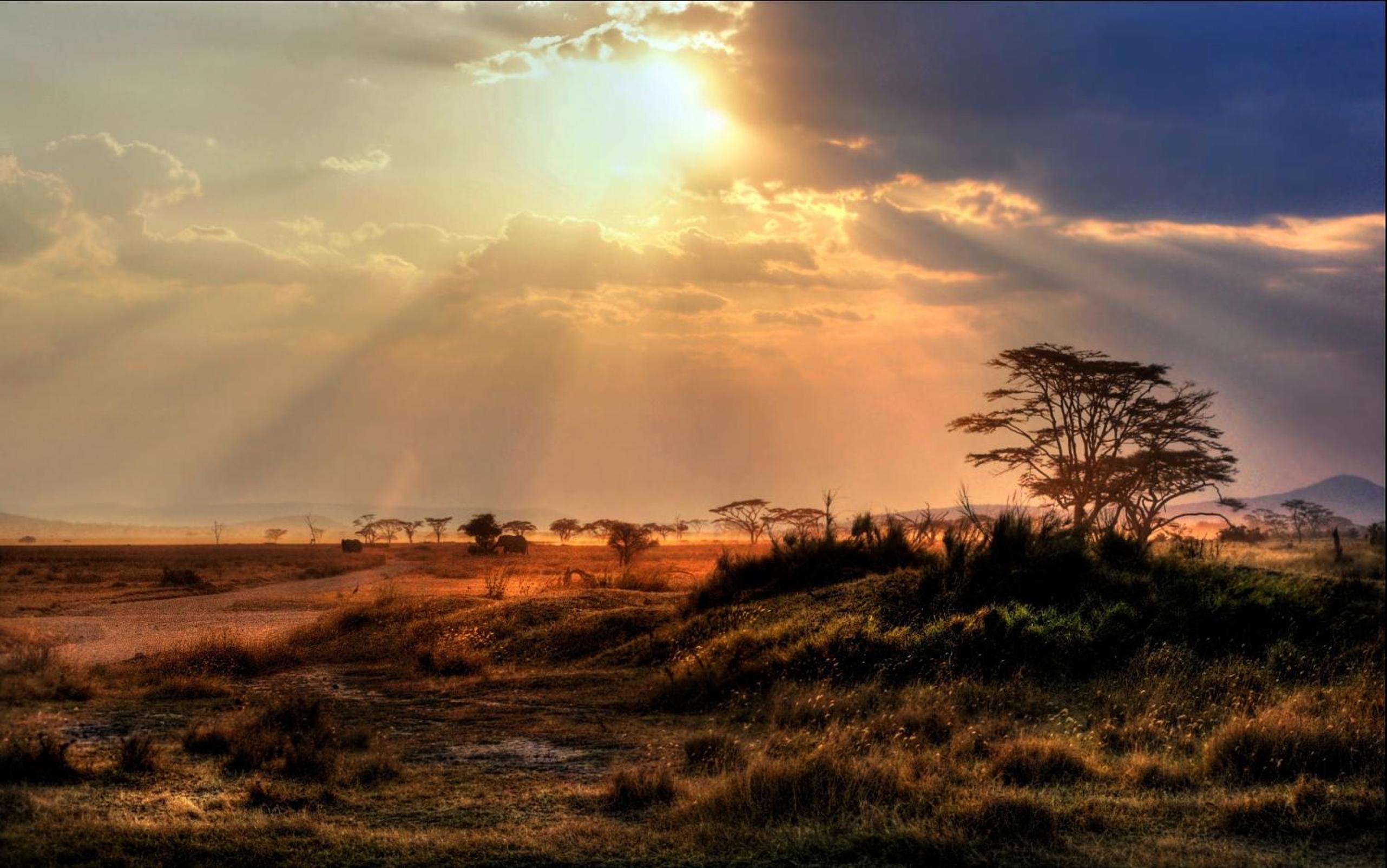 Africa Safari Maasai Boma 54/58