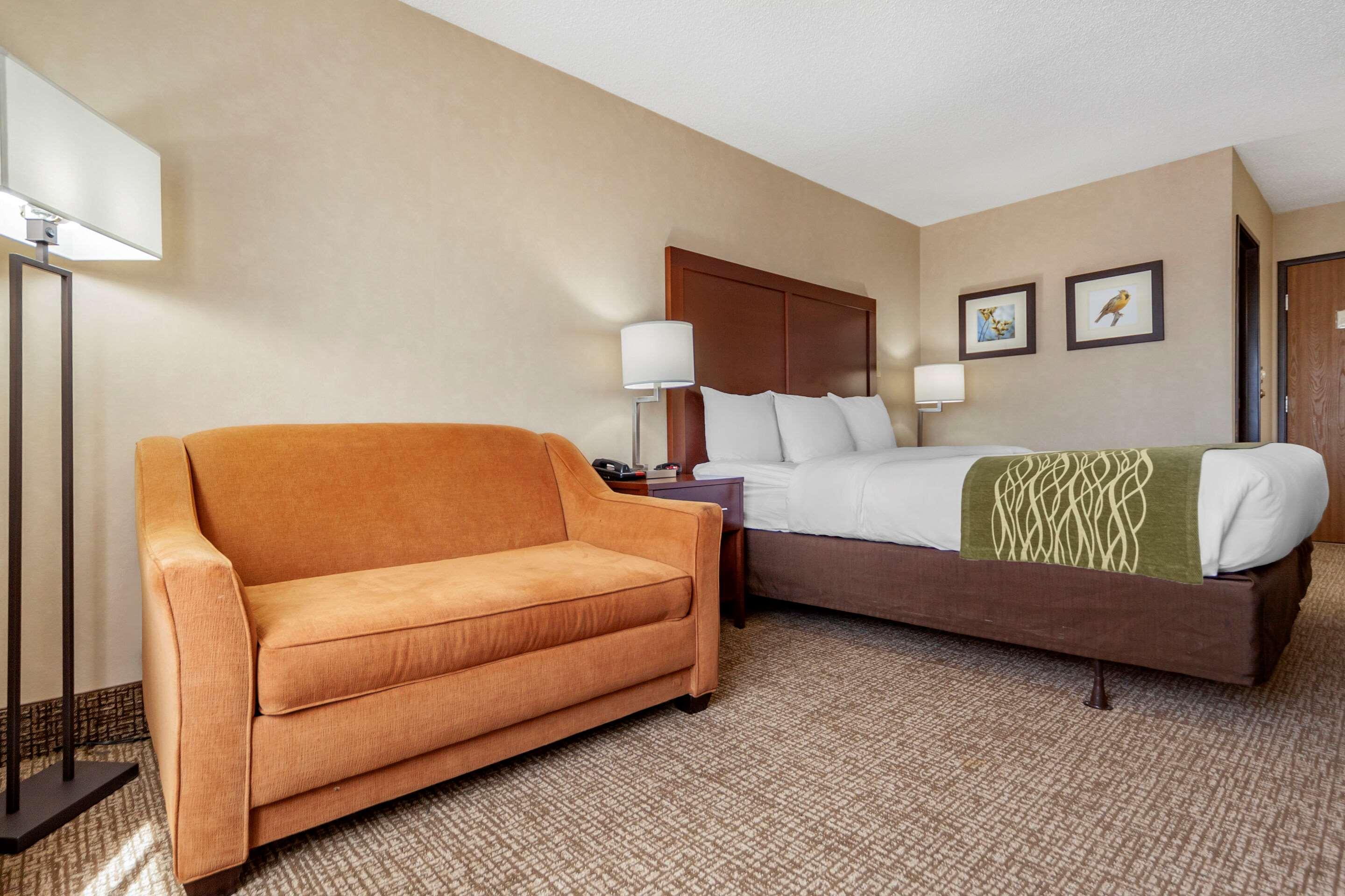 Suite, King Bed