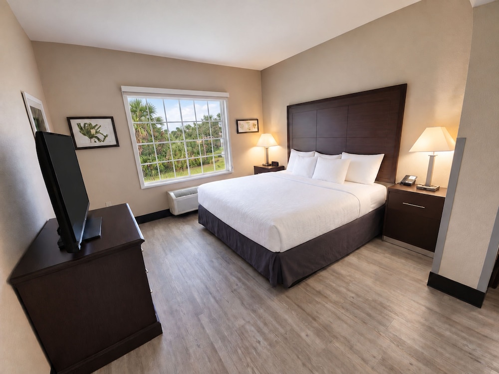 Studio, Suite, King Bed, Sofa