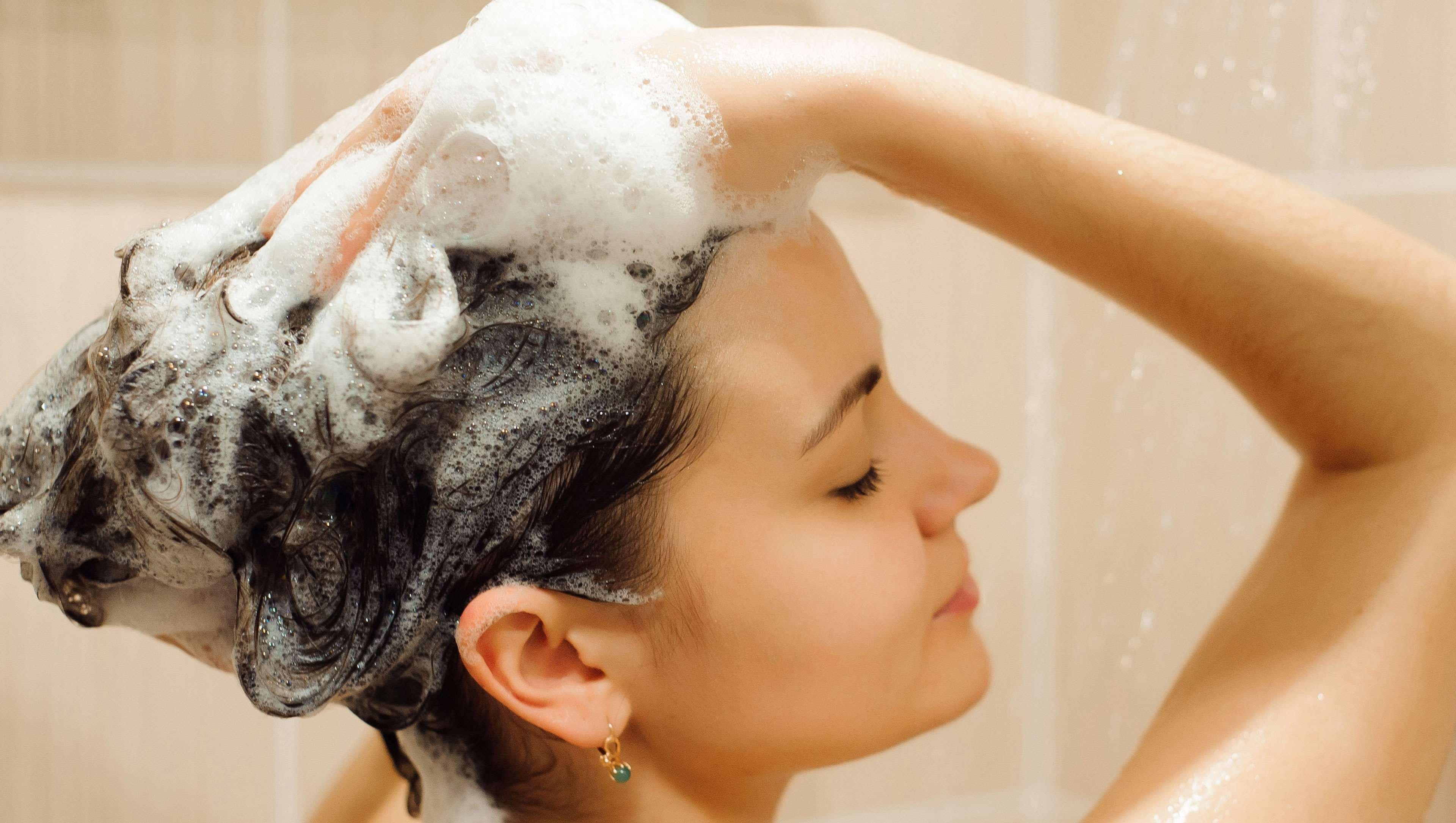 ベスト ウェイ イン ヒューストン - メディカル センター(Best Way Inn Houston - Medical Center) 写真5