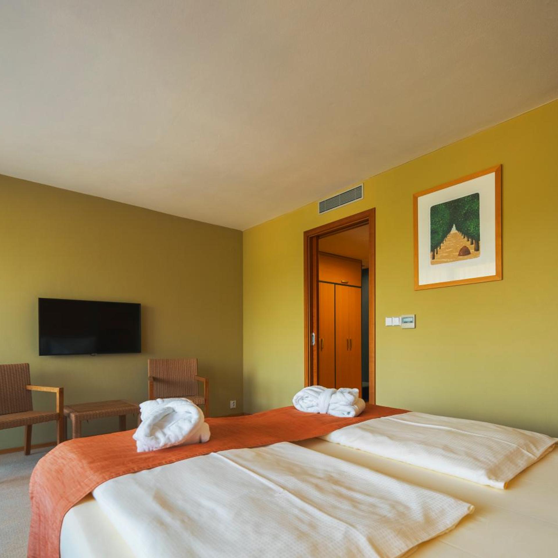 Park Holiday Congress & Wellness Hotel 13/51