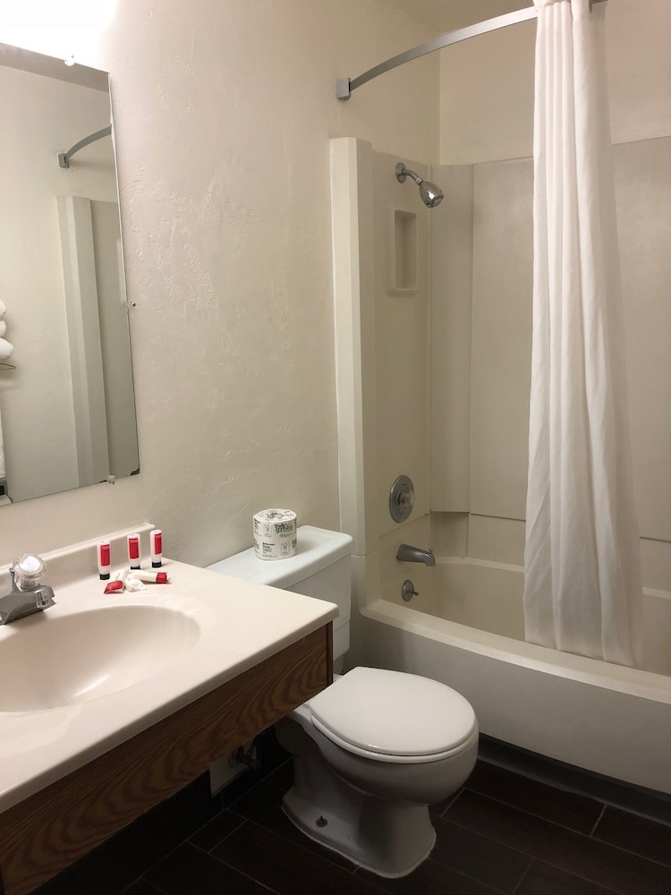 Super 8 By Wyndham Lacey Olympia Area 48/52
