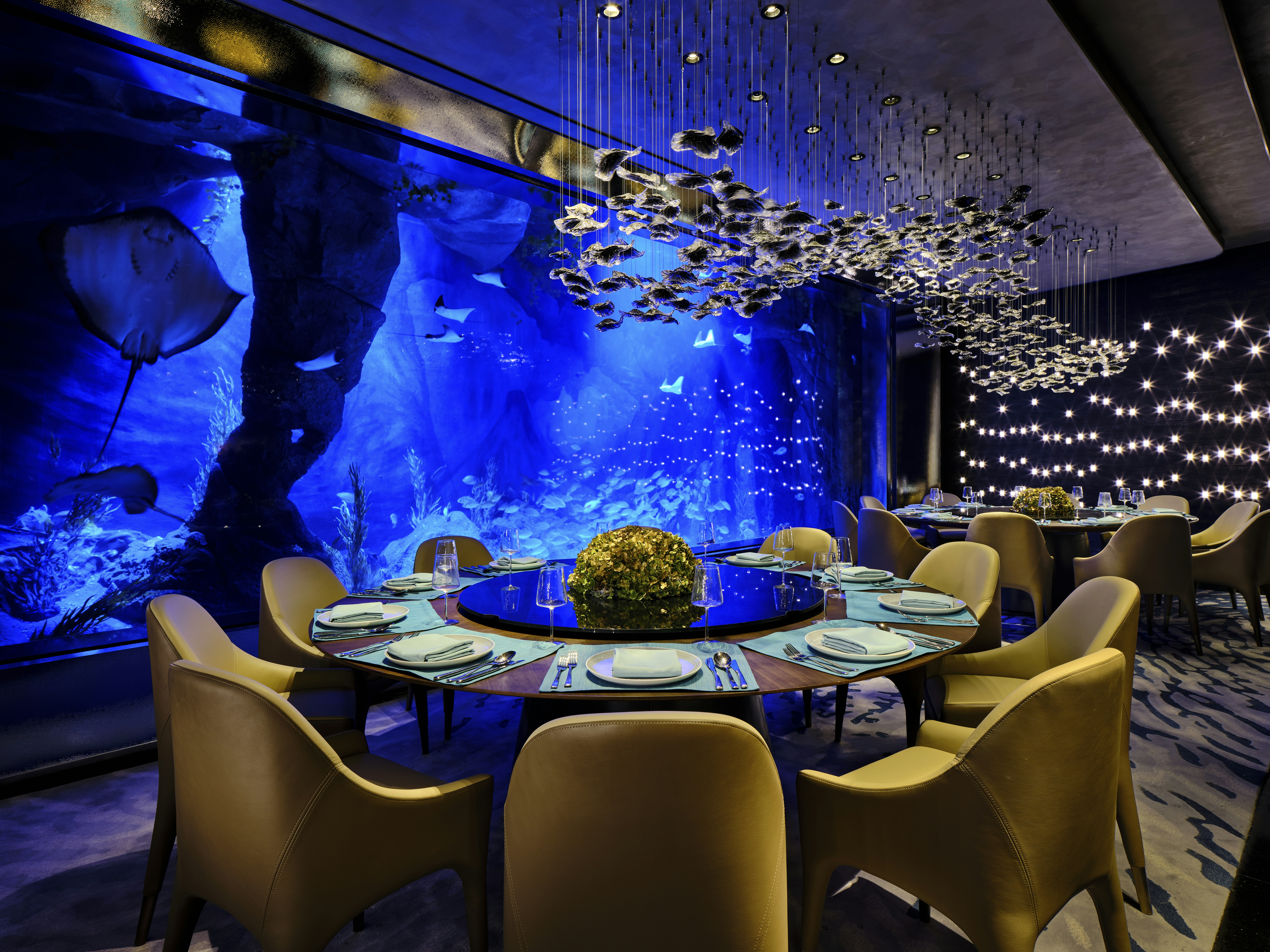 Intercontinental Shanghai Wonderland 28/50