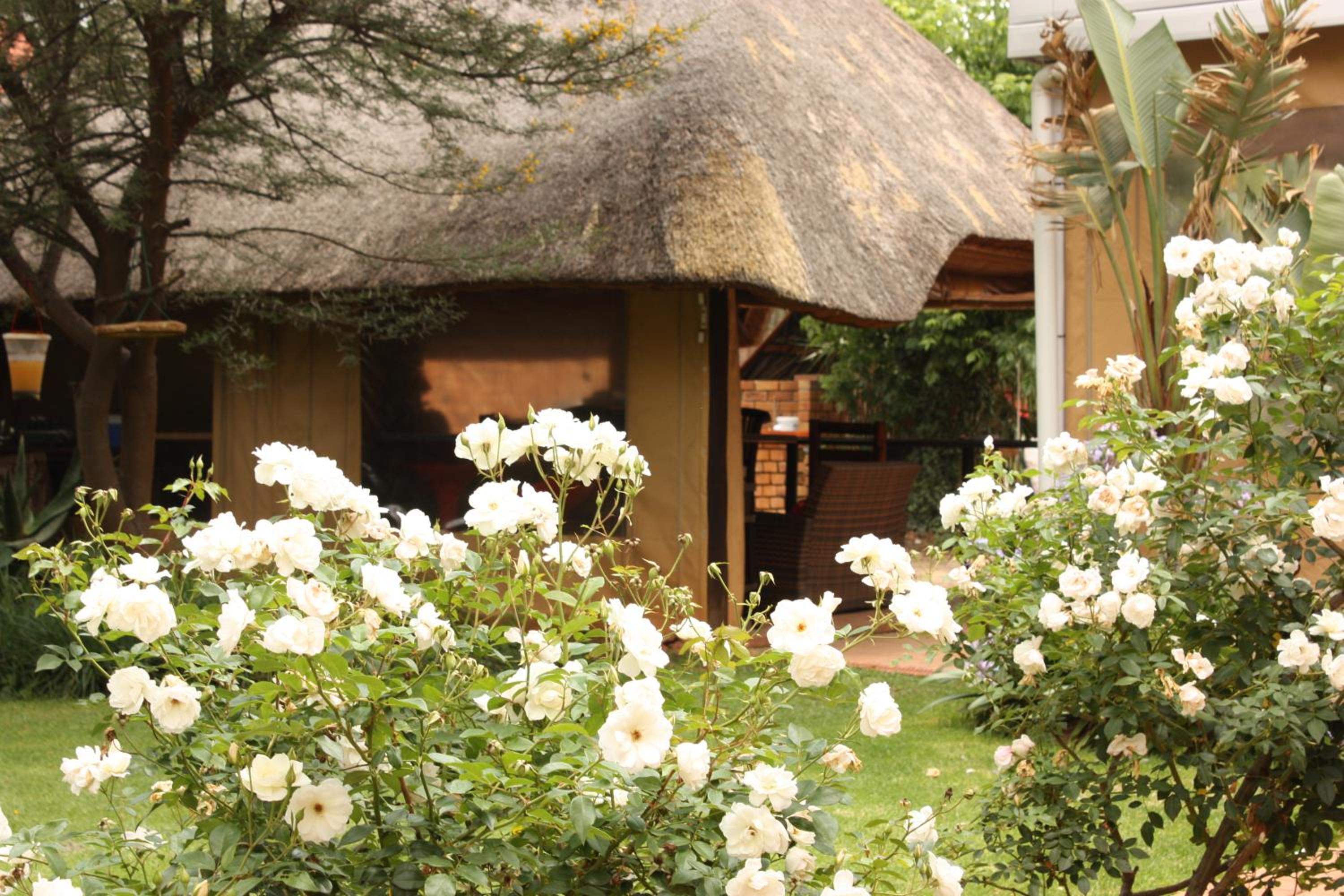 3 Brothers Bed and Breakfast 26/31