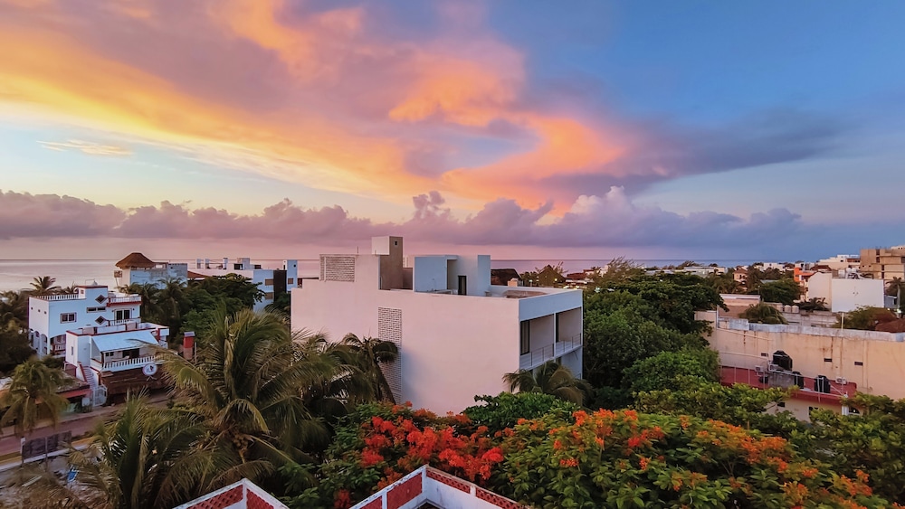 Areia Puerto Morelos 1/50