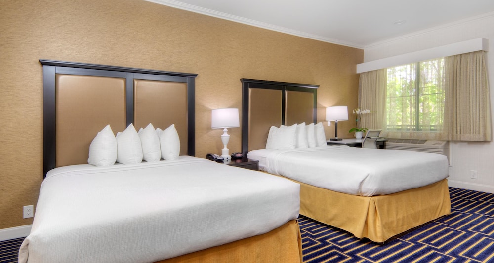 Best Western Plus Palm Court Hotel 11/42