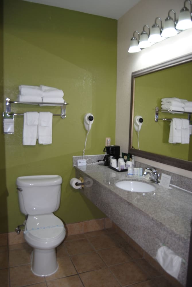 Sleep Inn and Suites Montgomery East I-85 29/32