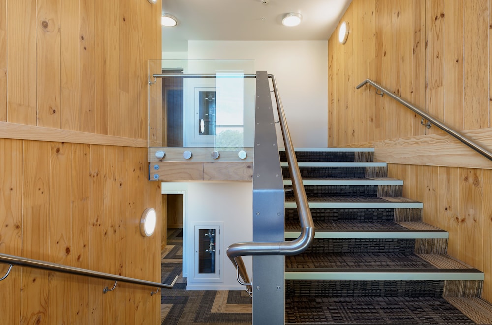 Campus Summer Stays - Otago Village 22/50