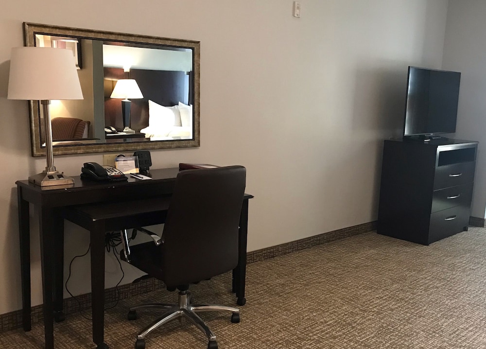 Comfort Suites Bay City 24/34
