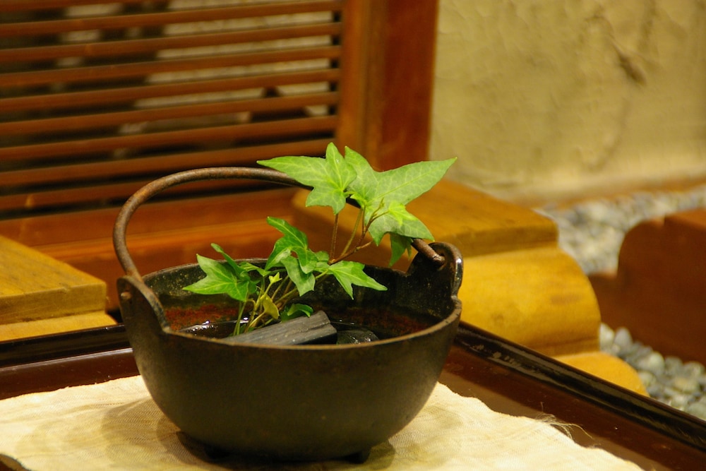 Shorenkan Yoshinoya 24/69