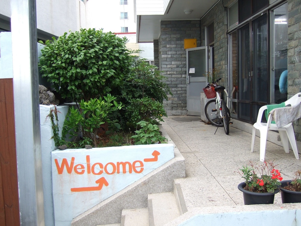 Springflower Guesthouse - Hostel 37/39