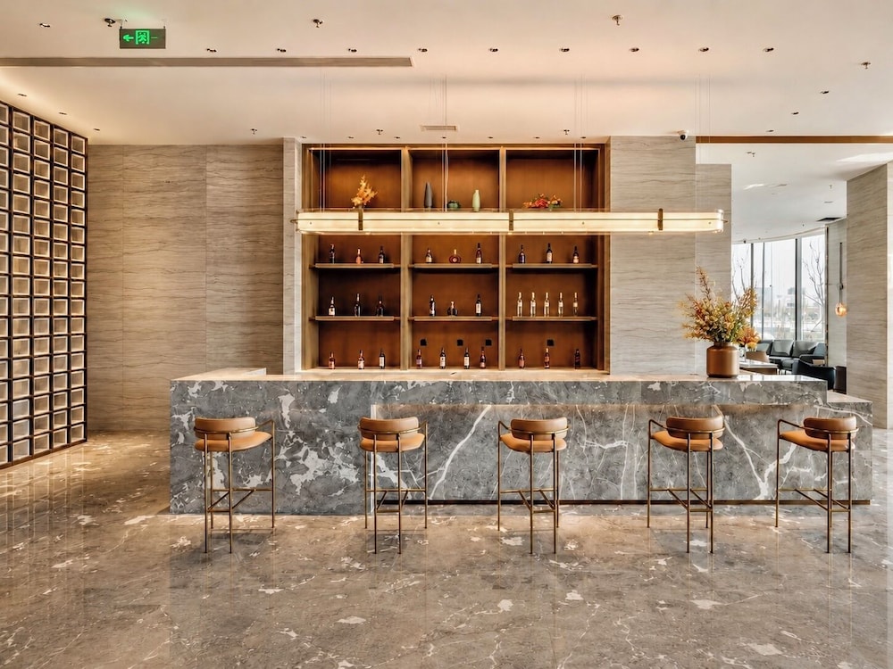 Radisson Hotel Beijing Daxing Airport 48/60