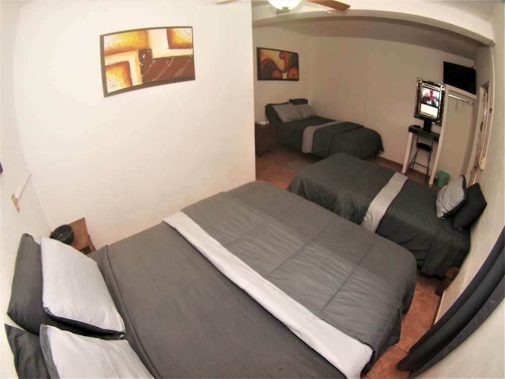 Family, 1 Single and 2 Queen Beds