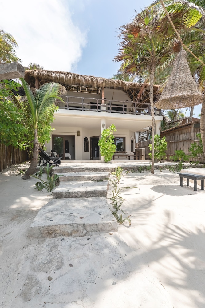 NEST Tulum 5/50