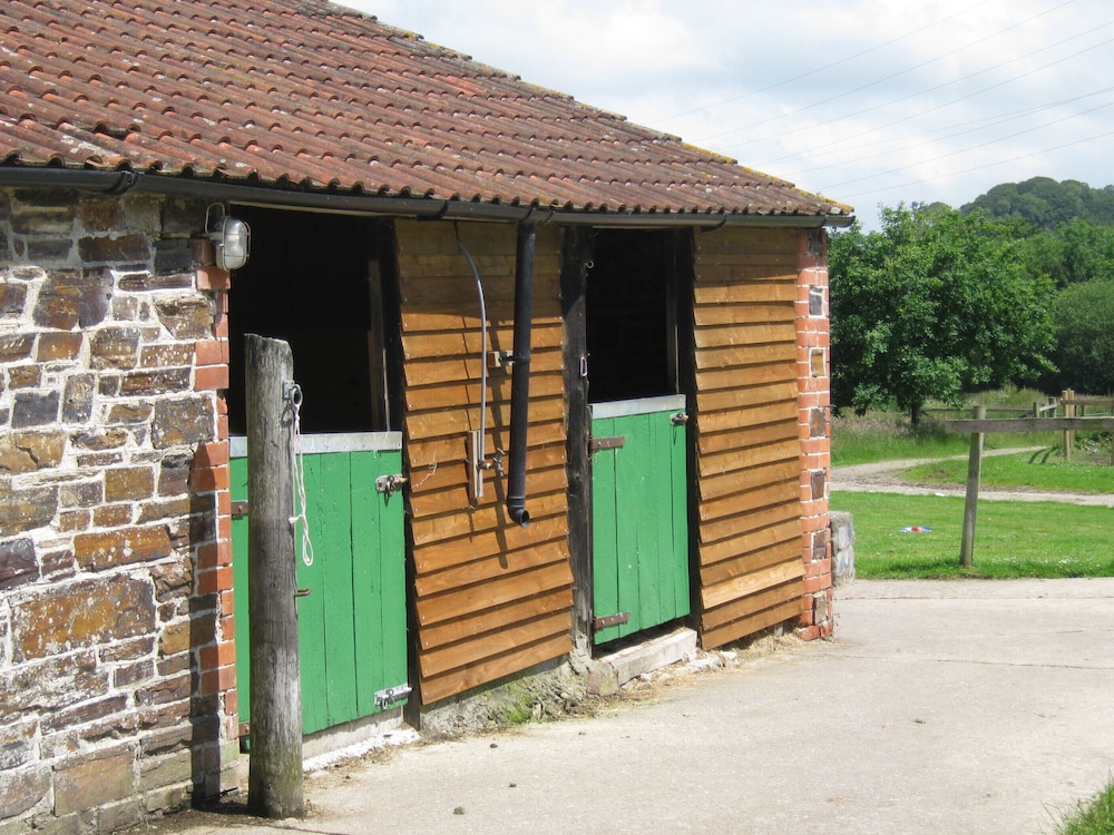 Hollamoor Farm B&B 1/50