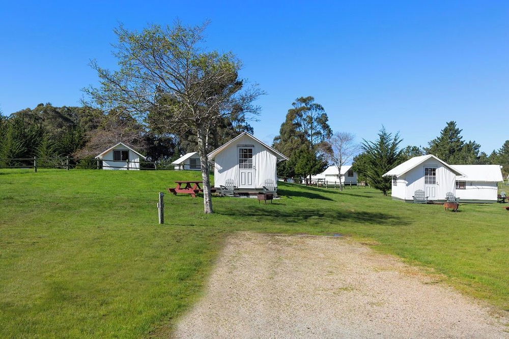 Costanoa 32/50