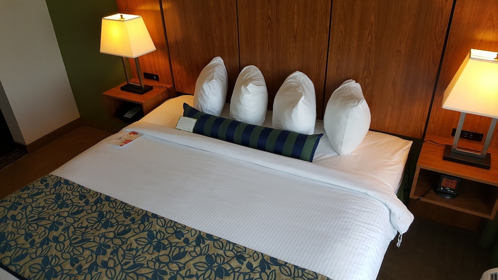 Sol Cypress, San Antonio, A Tribute Portfolio Hotel 12/41