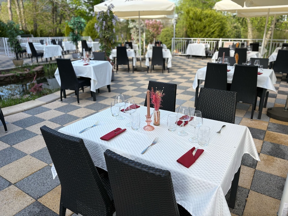 LOGIS HOTEL DES ROCHES 45/60