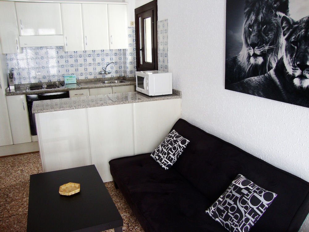 APARTAMENTOS ARINSAL 3000 4/58