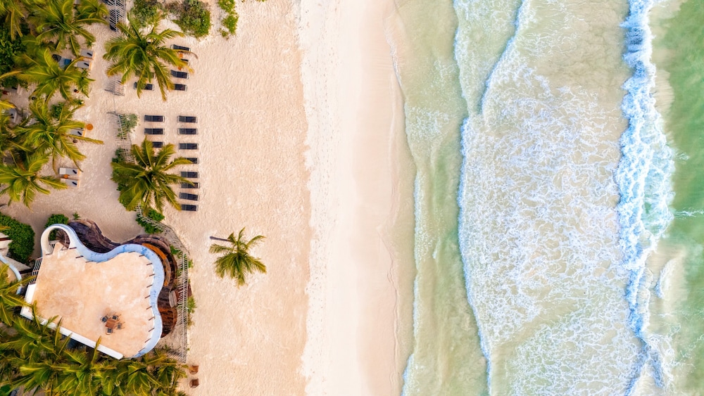 Secrets Tulum Resort & Beach Club - Adults Only - All Inclusive 43/47