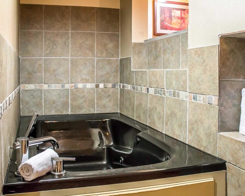Comfort Suites Perrysburg - Toledo South 24/49