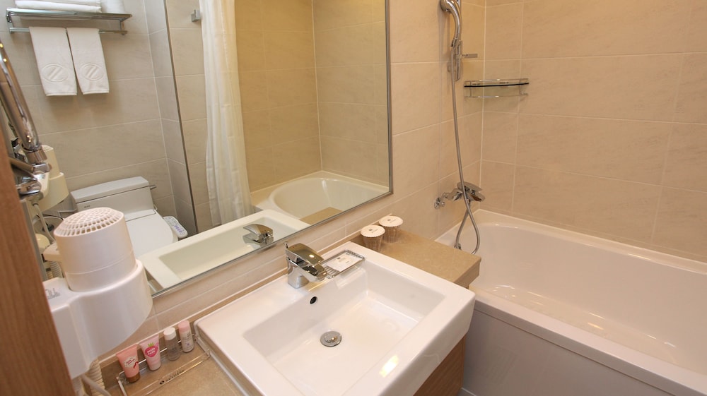 Hotel Skypark Dongdaemun 1 10/40