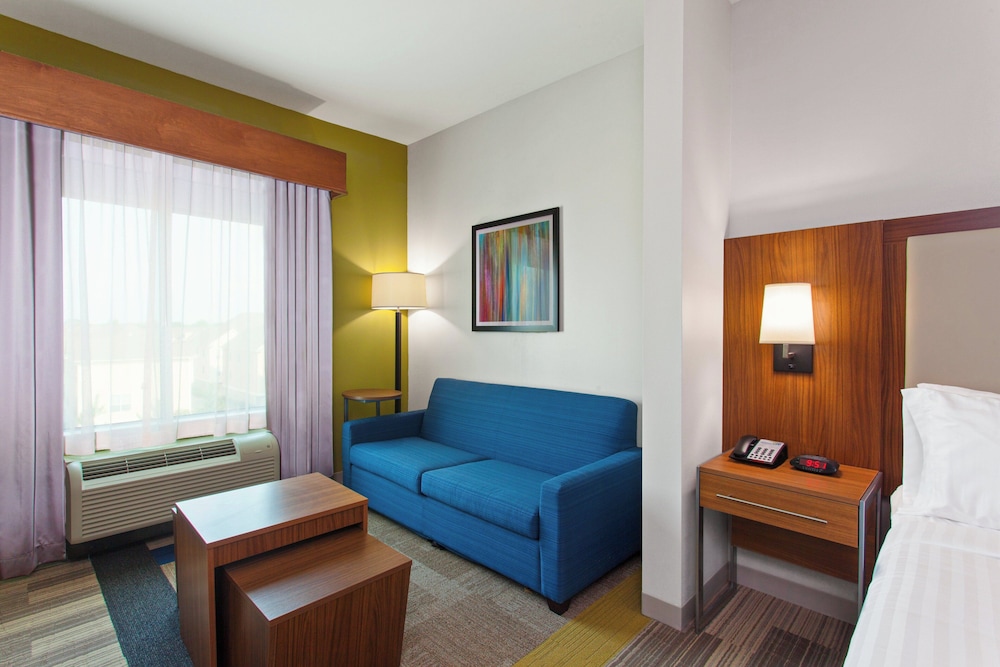 Holiday Inn Express & Suites Houston S Medical Ctr Area 31/50