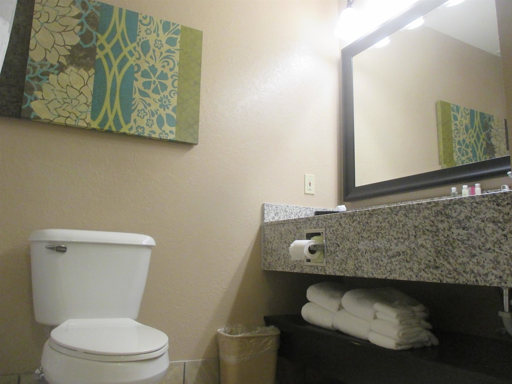 Best Western Plus Menomonie Inn & Suites 7/39