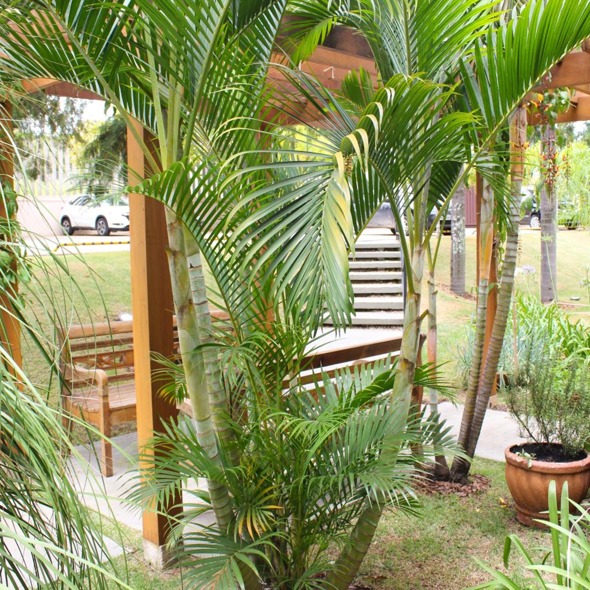 HOTEL JAGUARY JAGUARIUNA 44/50