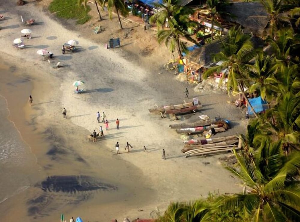 The Ocean Park Beach Resort 37/45