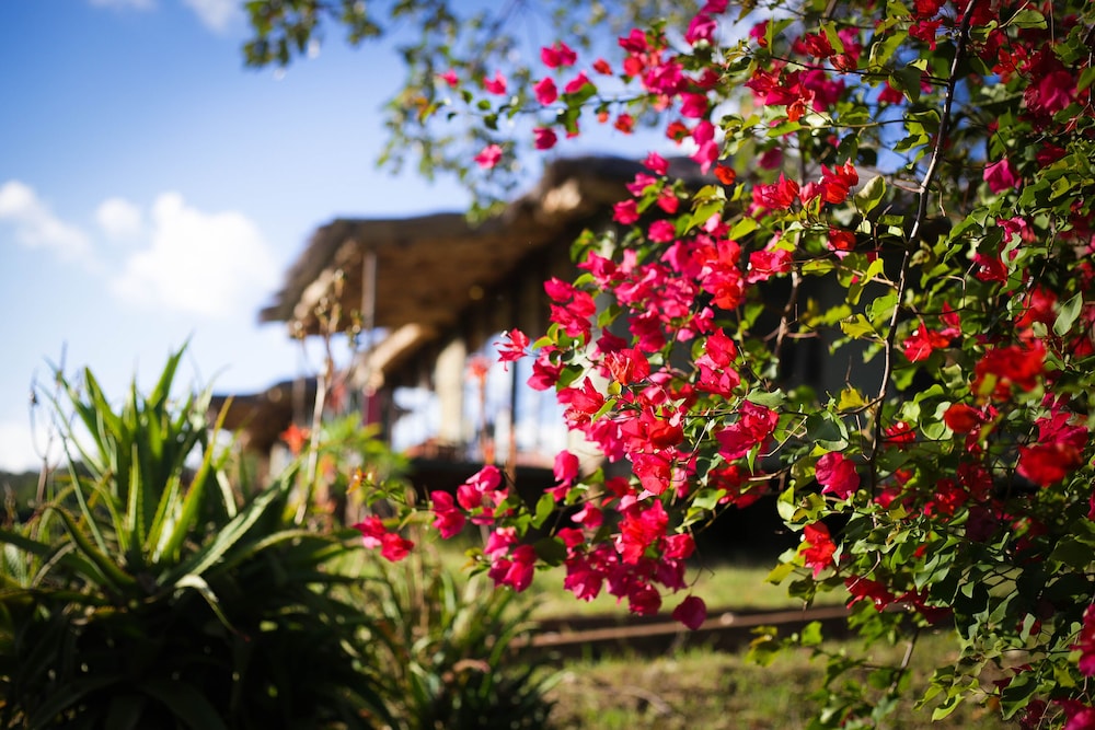 Karatu Simba Lodge 20/31