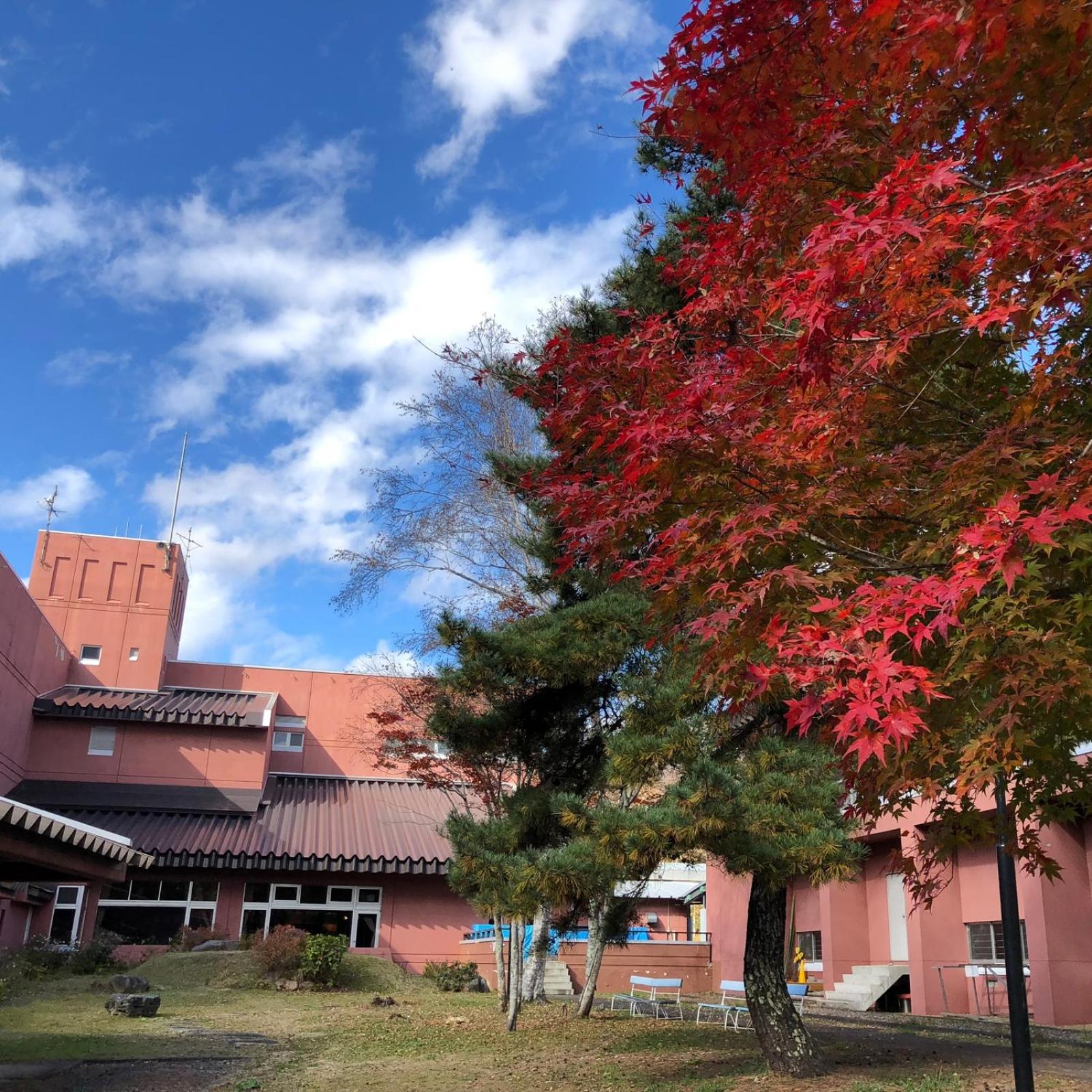Asoviva Nagano Park 30/43