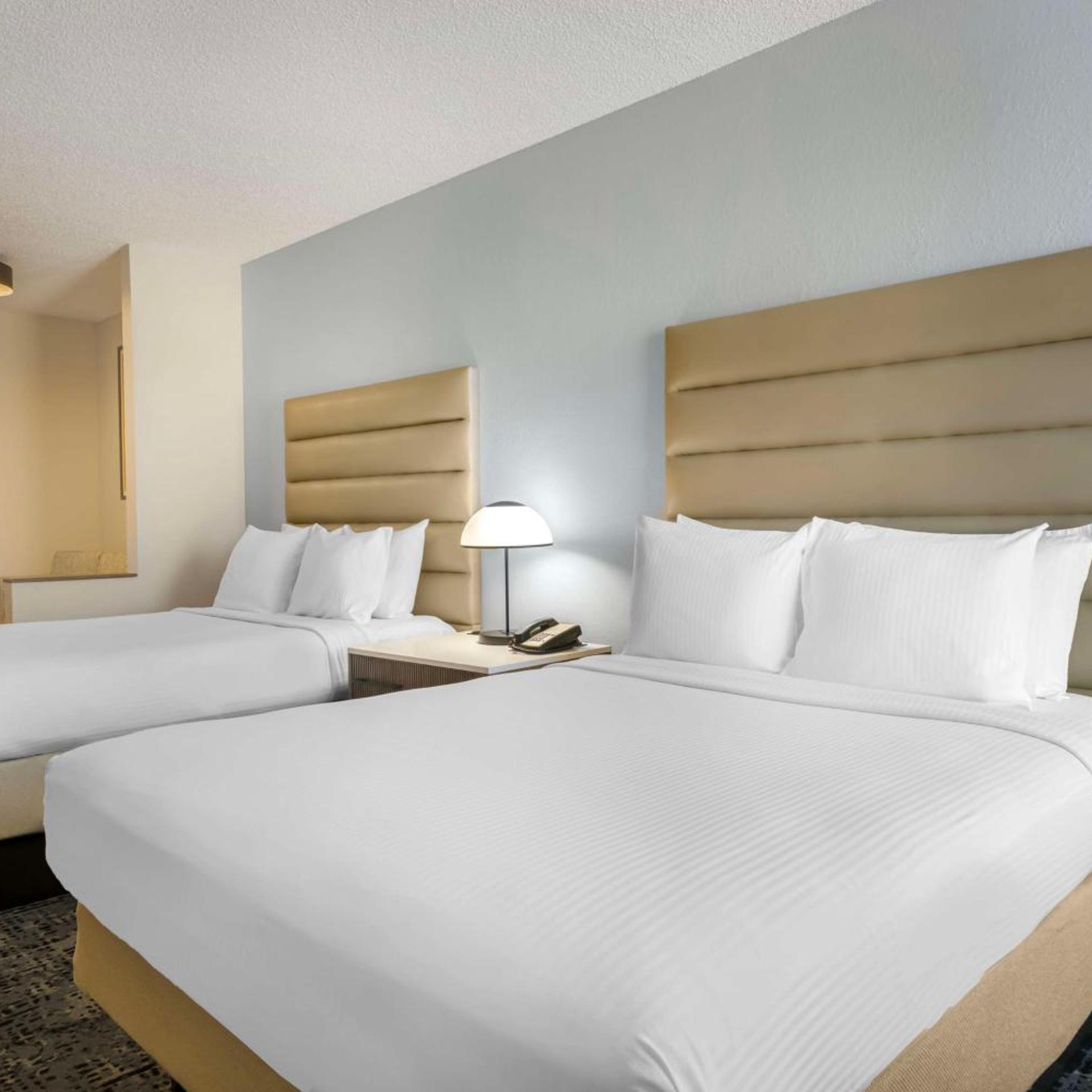 Family, Suite, Queen Bed, Sofa