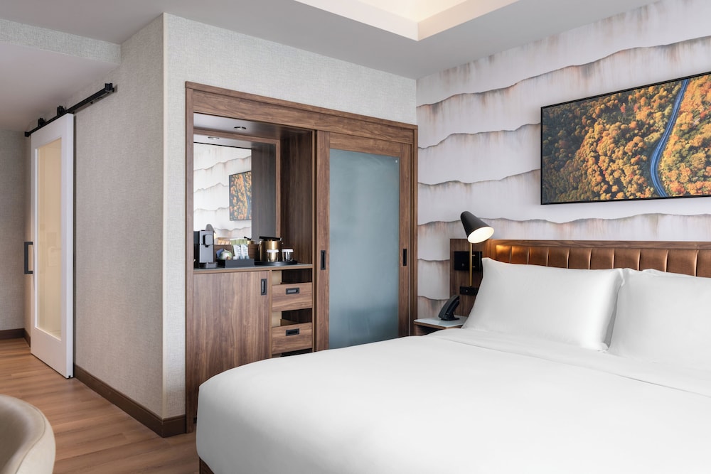 Hotel Indigo Gatlinburg Downtown by IHG 14/50