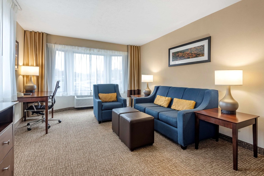Comfort Inn & Suites Montpelier-Berlin 28/45