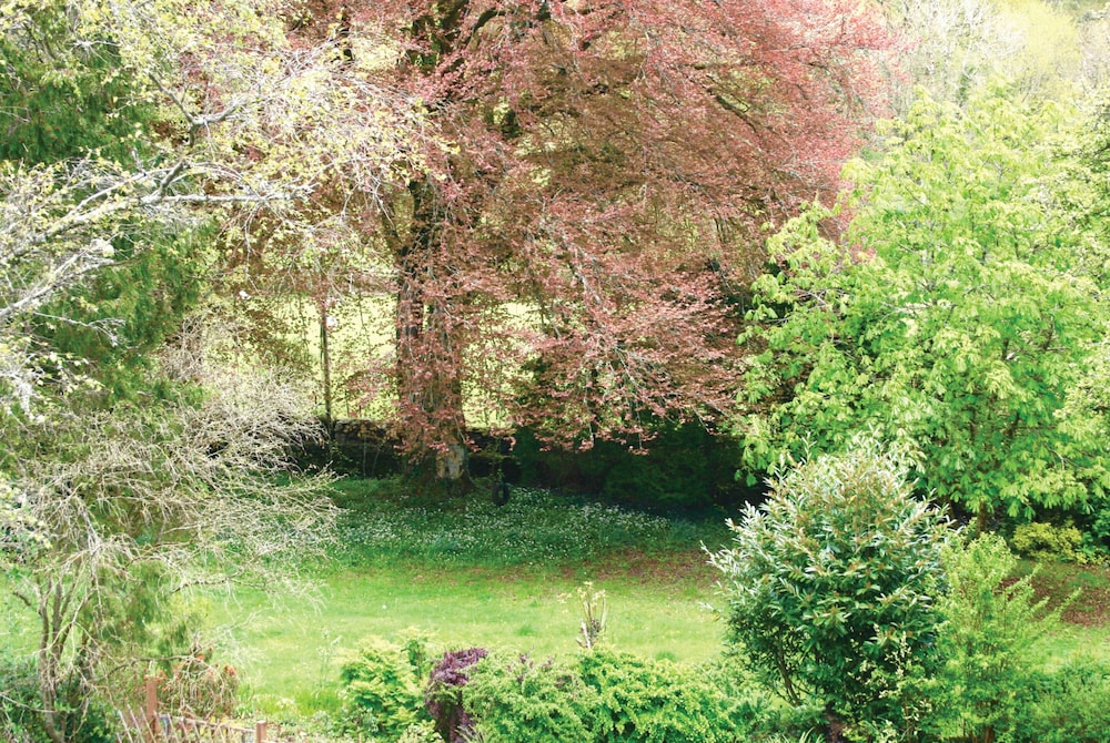 Afon Rhaiadr Country House 38/50