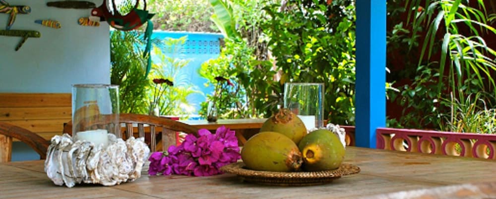 Caribbean Flower Apartments 3/38