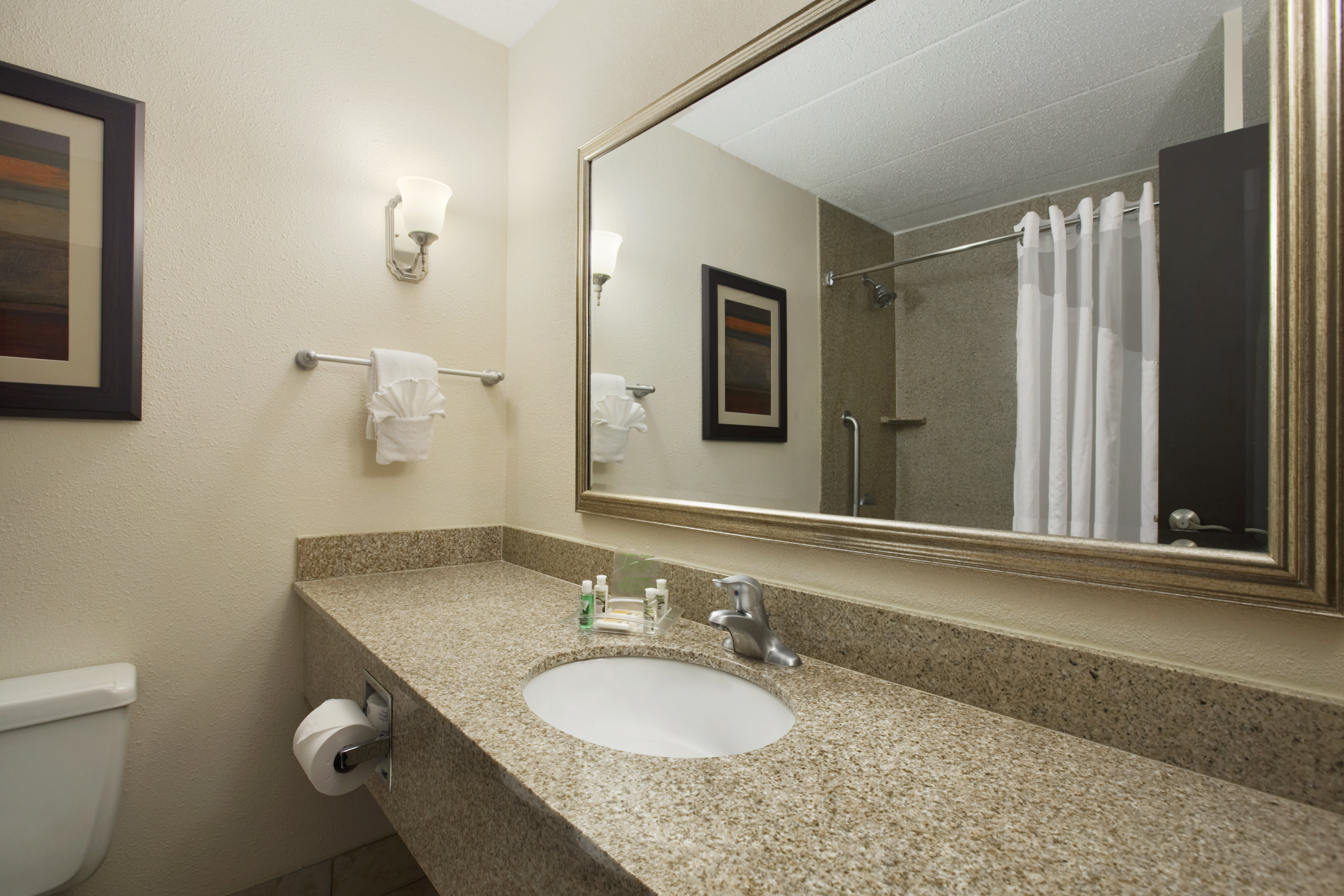 Holiday Inn & Suites Charleston West by IHG 32/32