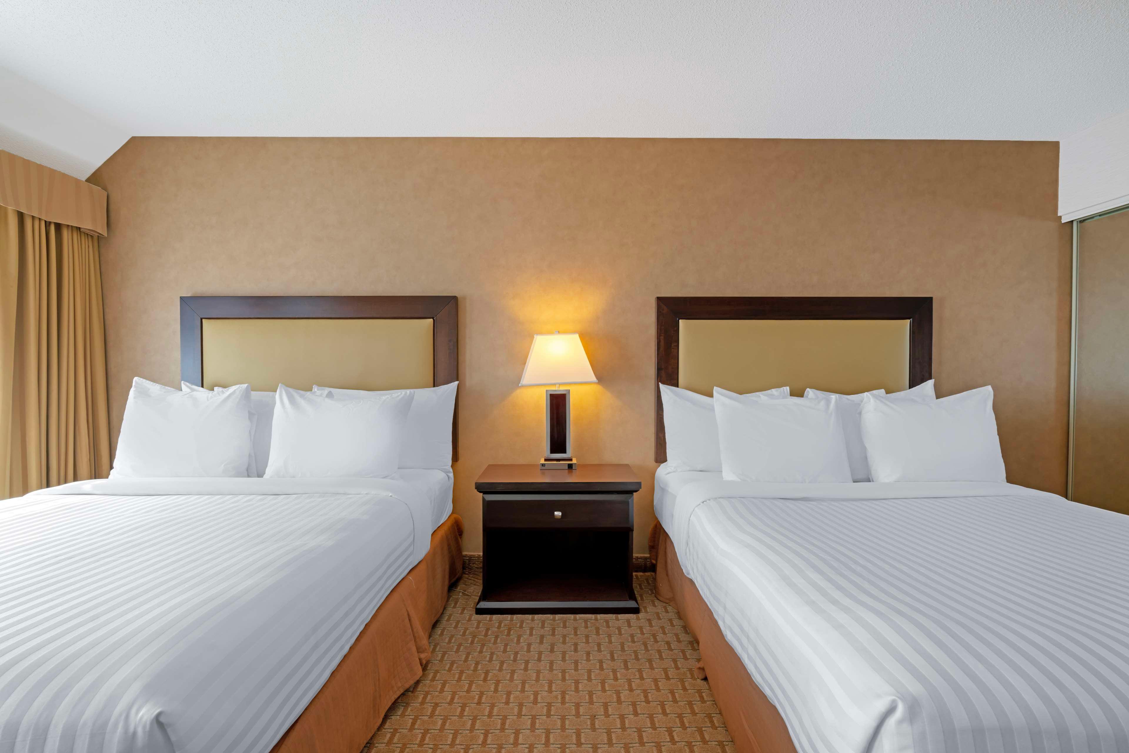 Suite, 2 Queen Beds