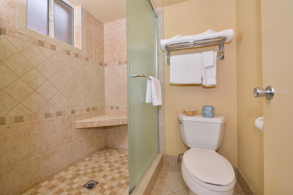 Best Western Plus King's Inn & Suites 20/37