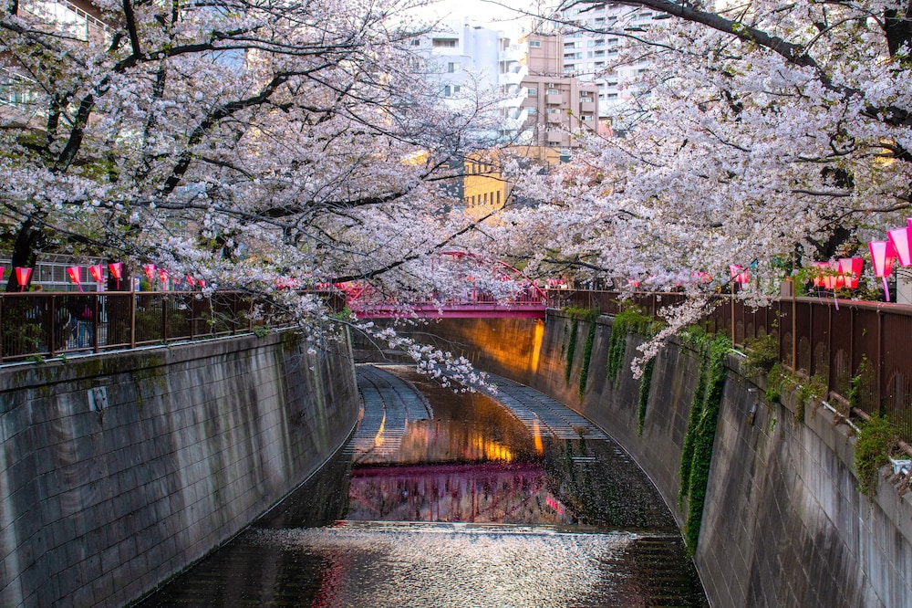 Tokyu Stay Meguro Yutenji 50/58