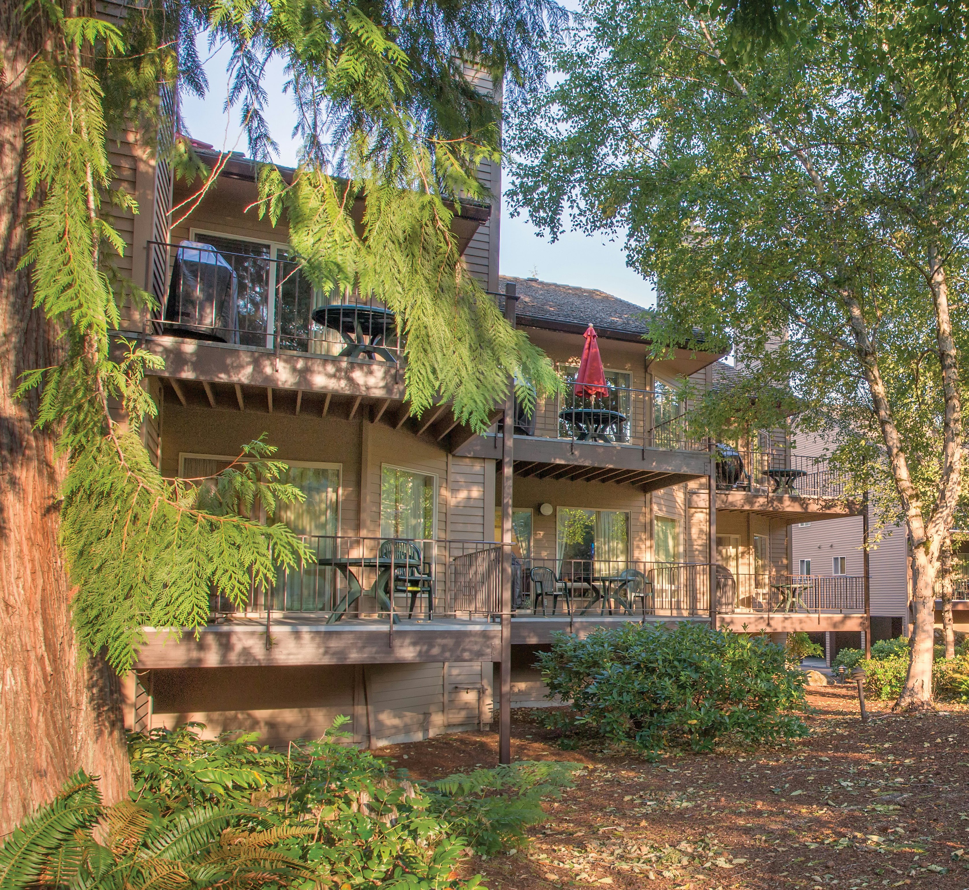 Whispering Woods Resort 56/65