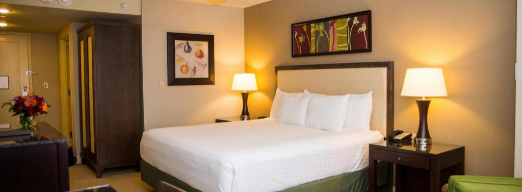 Deluxe, King Bed, Smoking