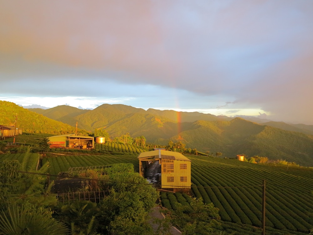 Alishan B&B Yunmingi 41/50