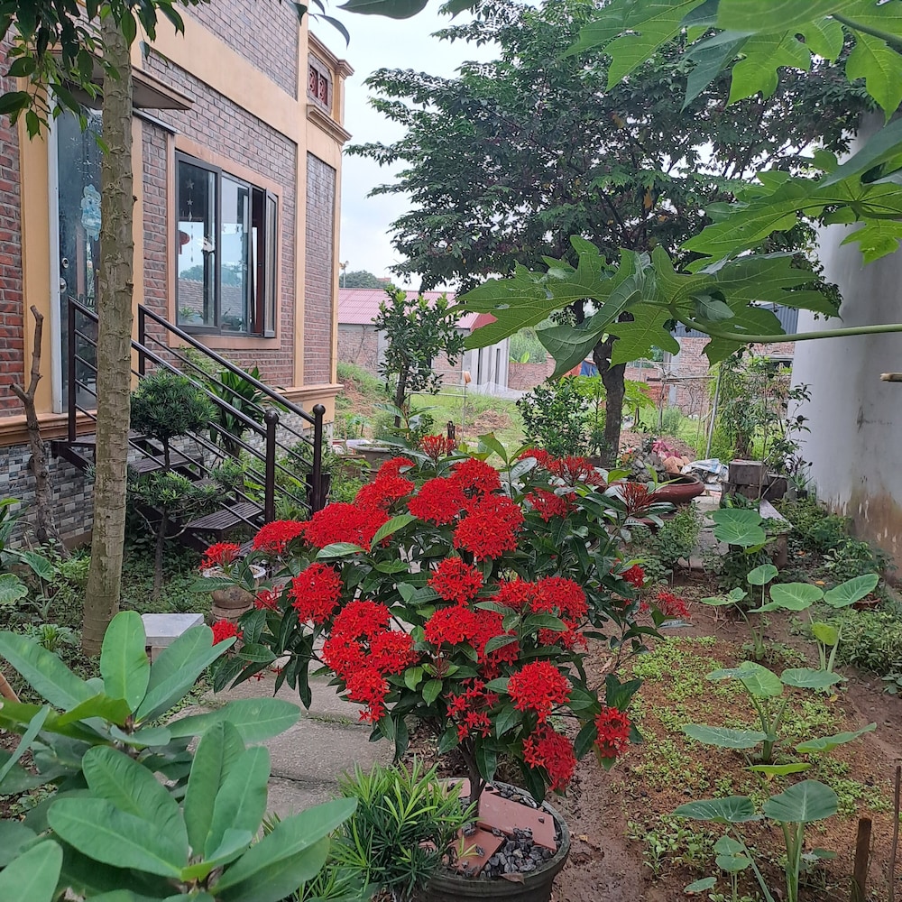 Ninh Binh Riverside Homestay 2 39/50