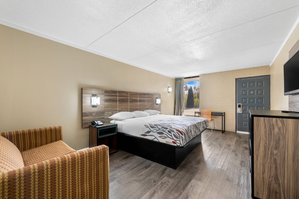 Rodeway Inn Charlotte South 18/52
