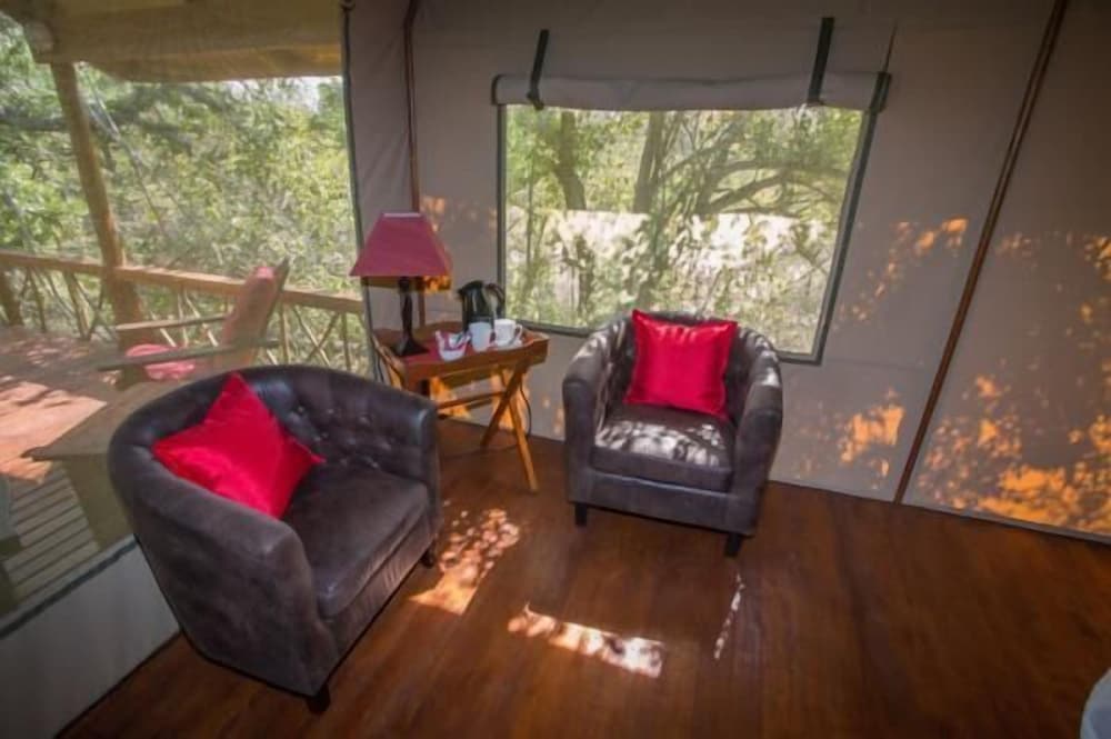 Lion Tree Top Lodge 17/36
