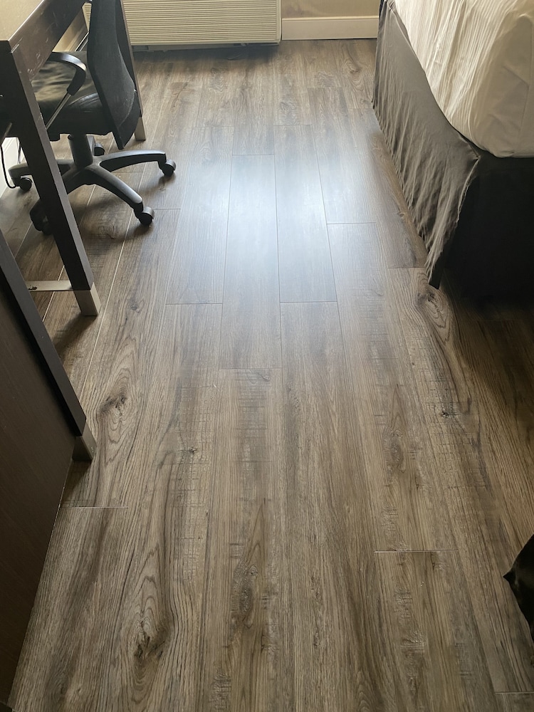 Wingate by Wyndham Springfield 52/60