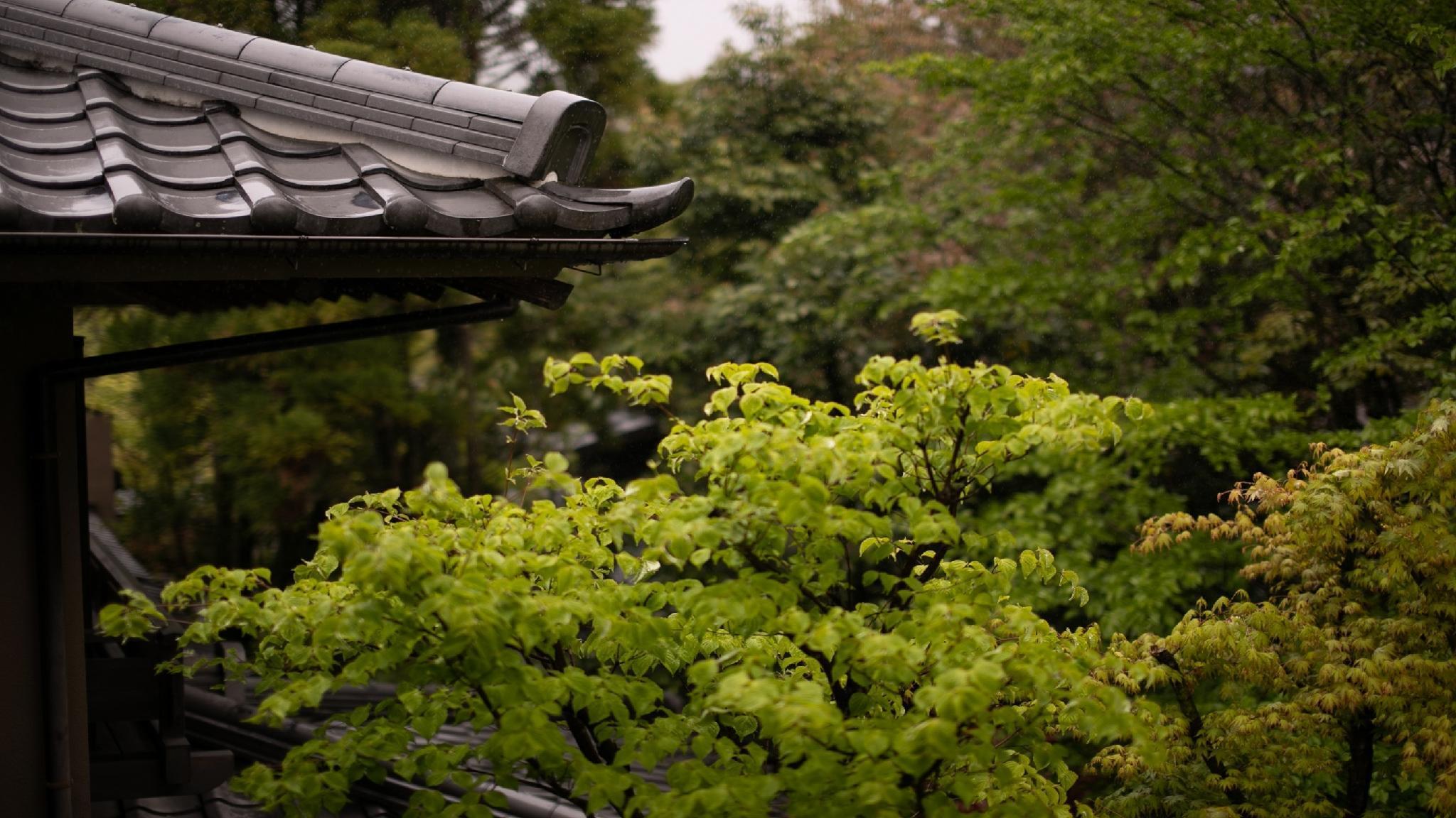 HINOHARU RYOKAN 16/18